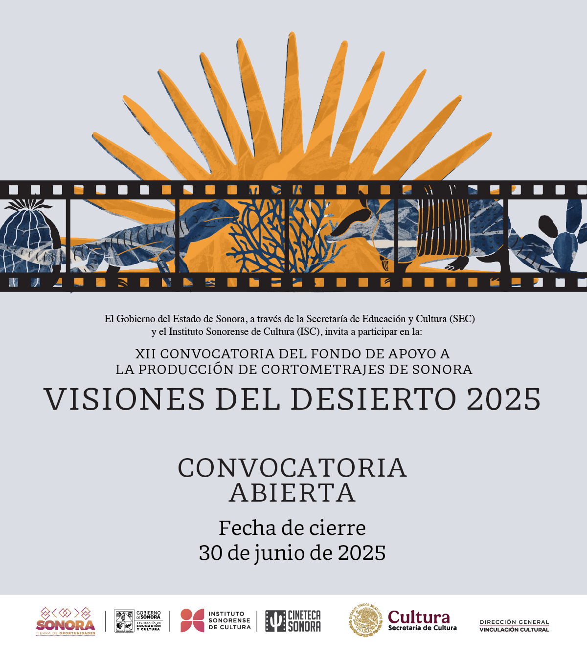 Bases para participar en la Convocatoria Visiones del Desierto 2025